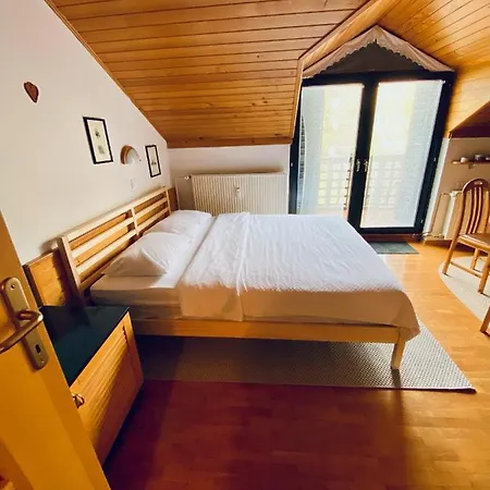 Apartma Snezinka Lägenhet *