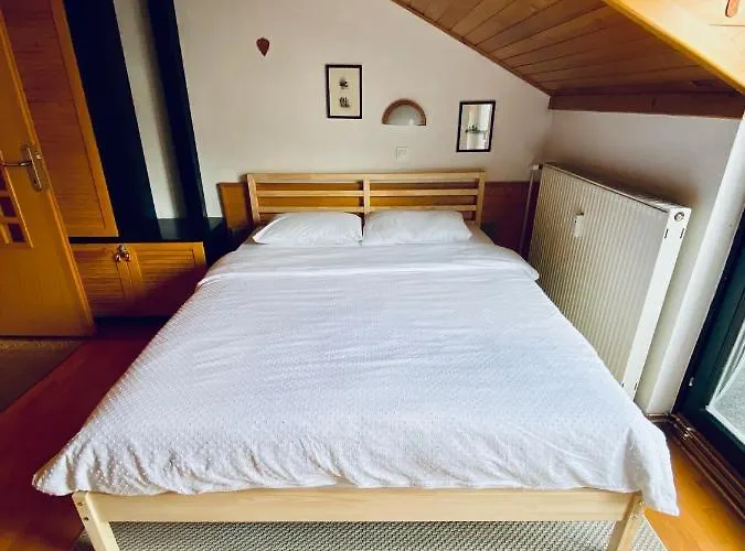 Apartma Snezinka شقة