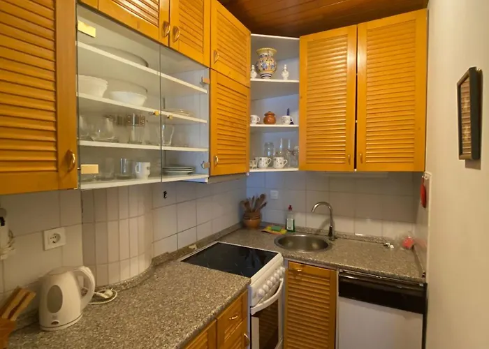 Apartma Snezinka شقة *